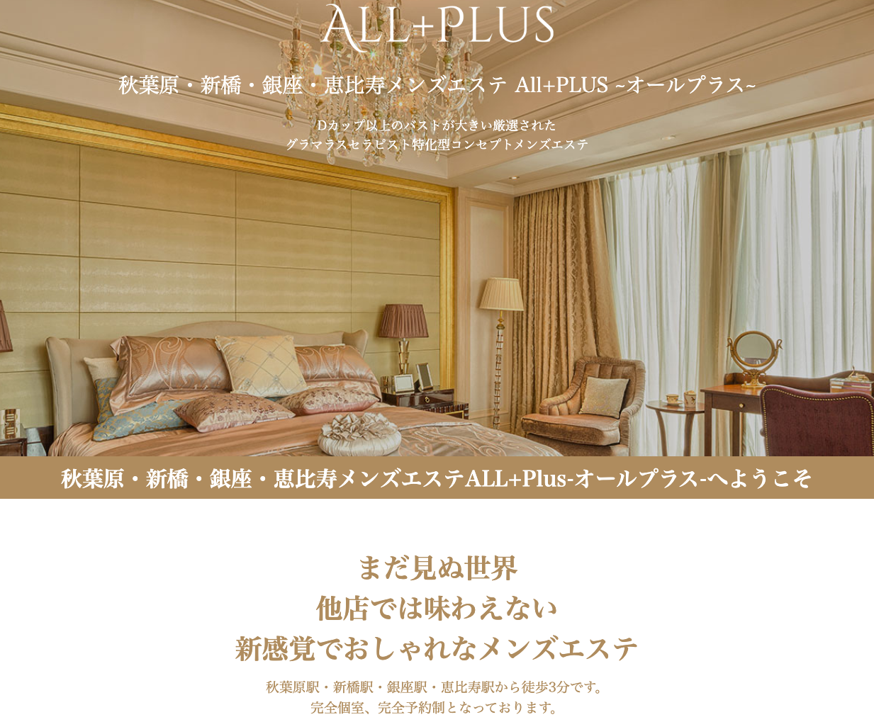 All+PLUS (オールプラス)